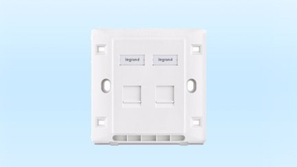 2口非屏蔽信息面板 羅格朗2位平口非屏蔽信息面板